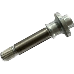 Embout/Vis D'axe MAVIC 32413001 Road Rear Axle End Bolt Screw