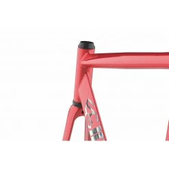 Cinelli Vigorelli Shark 2020 -Boutique De Vélos fixie75 cadre cinelli vigorelli shark 3